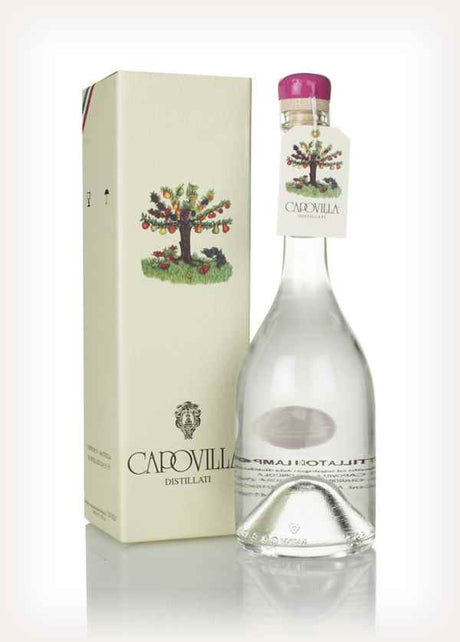 Capovilla Distillato di Lamponi Selvatici Brandy | 500ML at CaskCartel.com