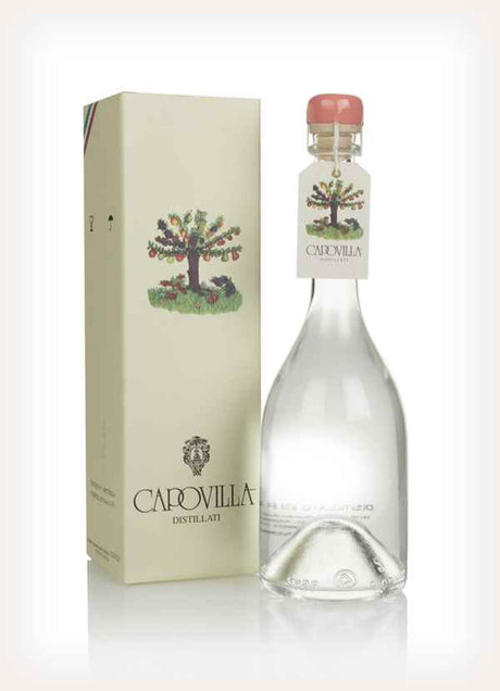 Capovilla Pesche Saturno Brandy | 500ML at CaskCartel.com