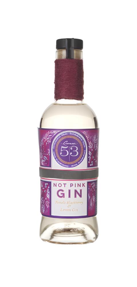 Corner 53 Not Pink Gin | 500ML at CaskCartel.com